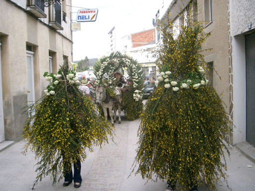 A Covid non parará este ano a celebración dos Maios en Lourenzá